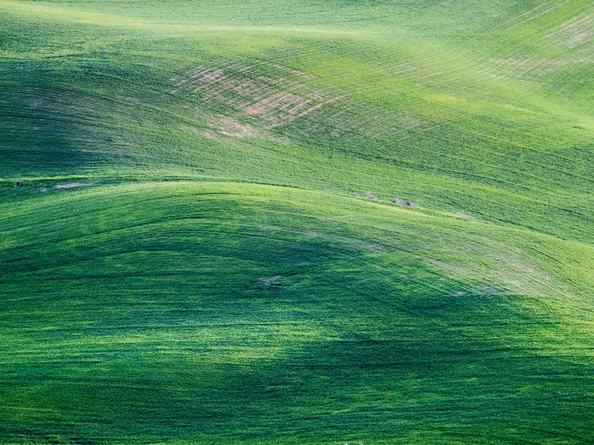 Fa Niente in 30&nbsp;sec.